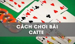 Bí Quyết Chơi Sắc Tê Nhà Cái TWIN68 Giúp Bạn Thắng Lớn
